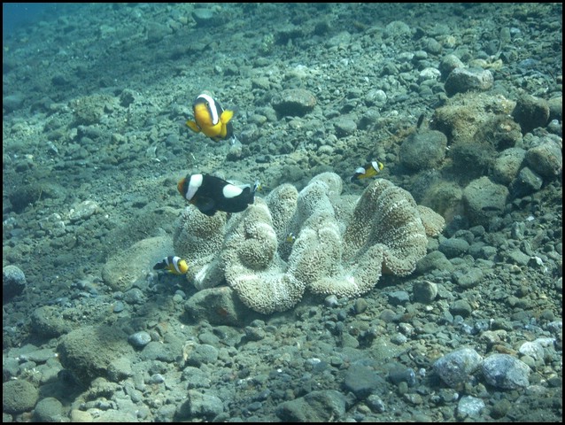 M0011156.JPG