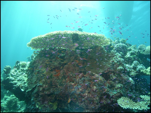 M0011202.JPG