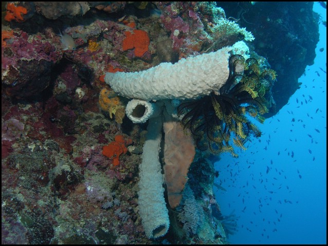 M0011207.JPG
