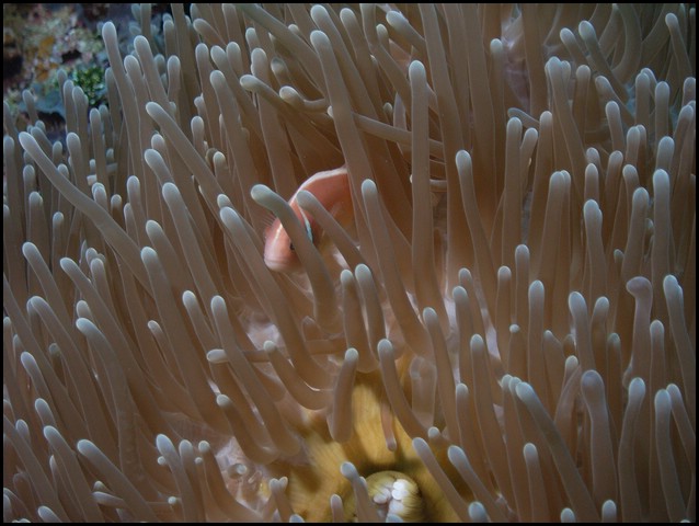 M0011235.JPG