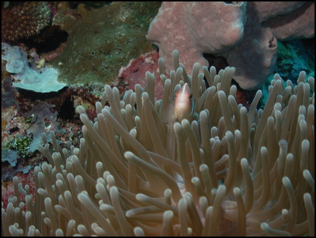M0011236.JPG
