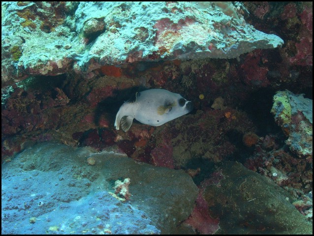 M0011256.JPG