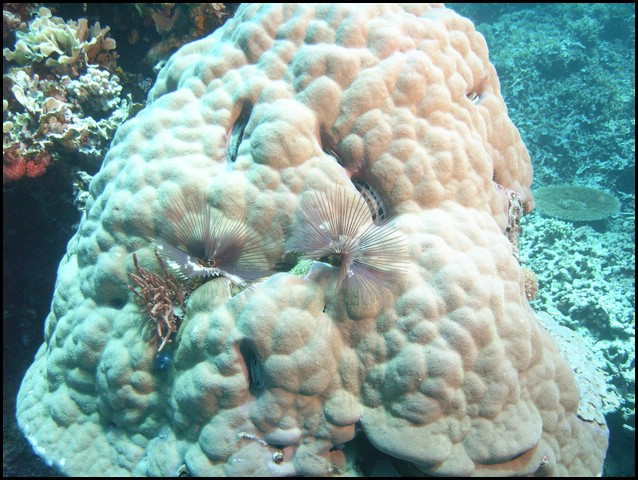 M0011272.JPG
