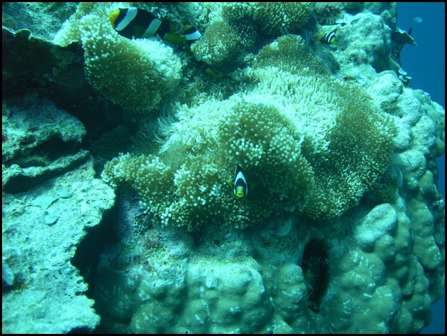 M0011280.JPG