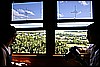 IMG_3737.JPG