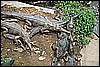 IMG_3753.JPG