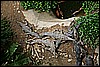 IMG_3754.JPG