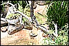 IMG_3756.JPG