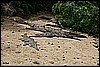 IMG_3759.JPG
