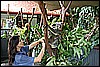 IMG_3762.JPG