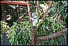 IMG_3763.JPG
