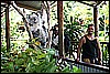 IMG_3766.JPG