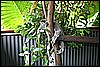 IMG_3772.JPG