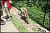 IMG_3775.JPG