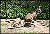 IMG_3776.JPG