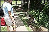 IMG_3777.JPG
