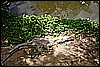 IMG_3780.JPG