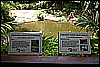 IMG_3781.JPG