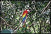 IMG_3783.JPG