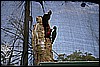 IMG_3789.JPG
