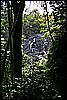 IMG_3797.JPG