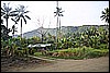 IMG_3813.JPG