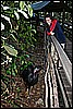 IMG_3865.JPG