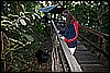 IMG_3867.JPG