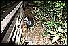 IMG_3868.JPG