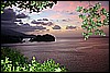 IMG_3881.JPG