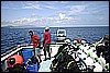 IMG_3887.JPG