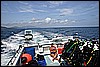 IMG_3890.JPG