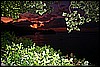 IMG_3911.JPG