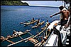 IMG_3923.JPG