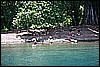 IMG_3927.JPG