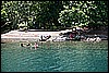IMG_3939.JPG