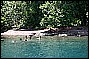IMG_3941.JPG