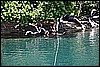IMG_3942.JPG