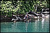 IMG_3943.JPG