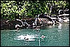 IMG_3945.JPG