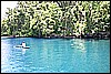 IMG_3950.JPG