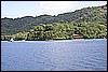 IMG_3959.JPG