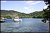 IMG_3965.JPG