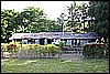 IMG_3981.JPG