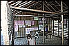 IMG_3982.JPG