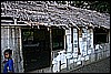IMG_3983.JPG