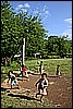 IMG_3984.JPG