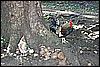 IMG_3986.JPG