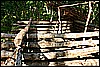 IMG_3993.JPG