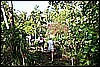 IMG_3994.JPG